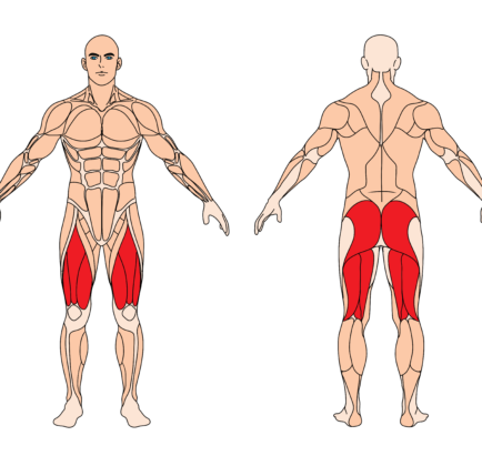 9 434x420 - Jump Squats Übung