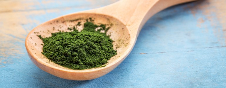 Chlorella pulver - Chlorella – Eine kleine Alge gegen Deine Körpergifte