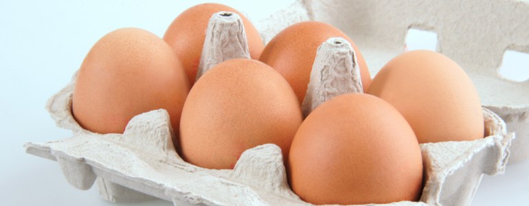 Eierdiaet - Eierdiät – 5 Gründe, warum 4 Eier am Tag einfach zu viel des Guten sind