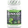 Ginkgo Tabletten - Ginkgo - mit dem Extrakt des Wunderbaums zu mehr Gedächtnisleistung