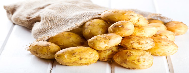 Machen Kartoffeln Dick - Machen Kartoffeln dick?