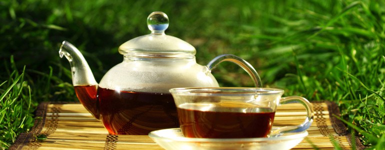 Stoffwechsel anregen Tee - Stoffwechsel anregen mit Tee – leichter abnehmen und Gewicht halten
